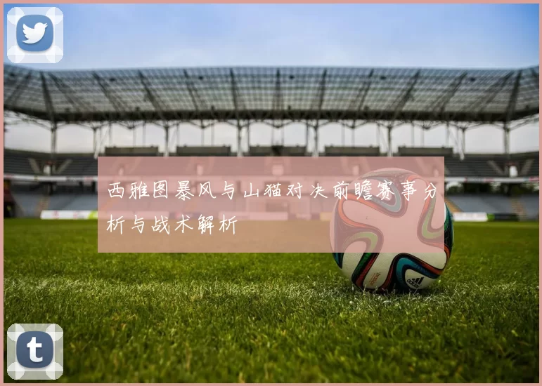 西雅图暴风与山猫对决前瞻赛事分析与战术解析
